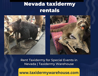 Rent Taxidermy for Special Events in Nevada