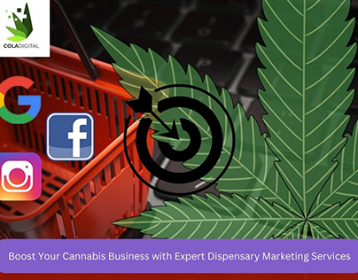 Boost Your Cannabis Business with Expert Dispensary
