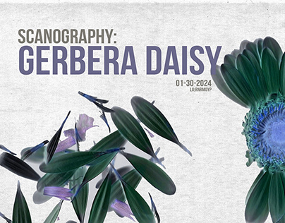 scanography: gerbera daisy poster
