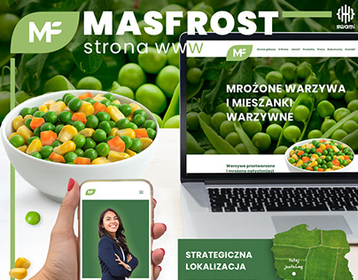 Strona www dla firmy Masfrost