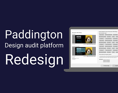 Paddington Design Audit Platform - UI/UX redesign