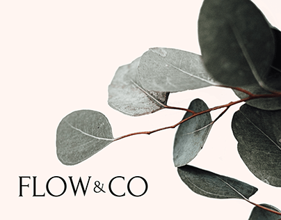 FLOW&CO - Website Concept Design