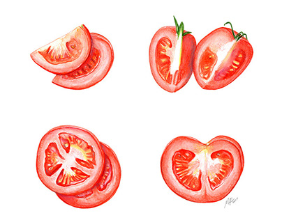 Sliced Tomatoes | Editorial Illustration