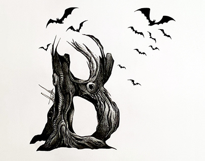 B from Bats