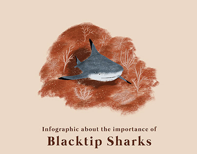 Infographic I Blacktip Shark