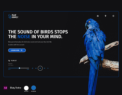 Blue Parrots Sound website Concept.