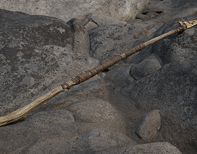 Prehistoric spear