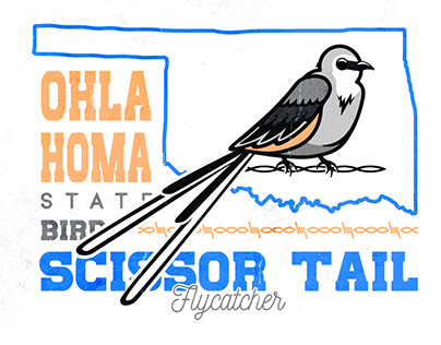 Oklahoma State Bird Illustration