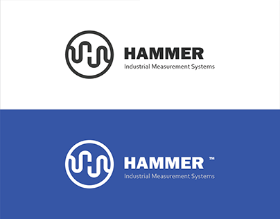 Hammer IMS Logo