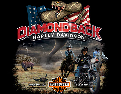 Diamondback H-D Tornado Back