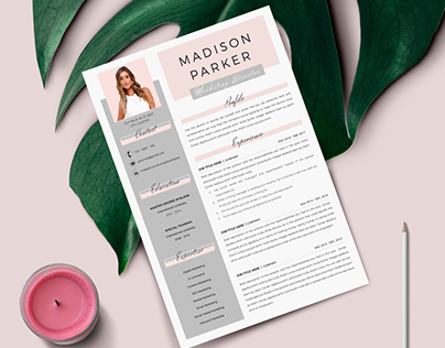 Modern & Professional Resume Template. Professional CV