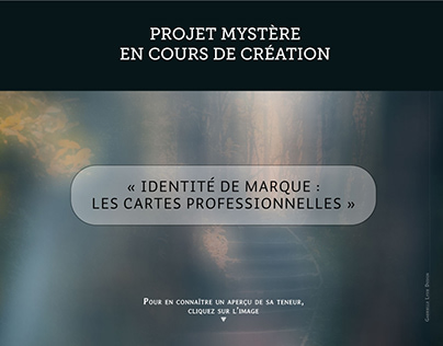 Project thumbnail - Projet mystère "Cartes professionnelles"