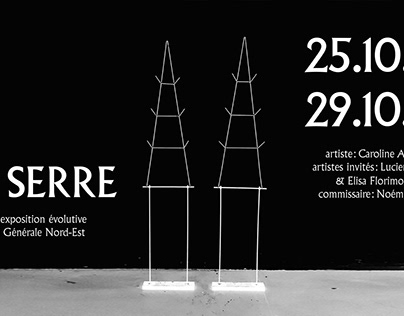 Exhibition curation - LA SERRE