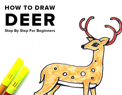How to draw deer