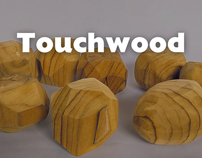 Project thumbnail - Touchwood