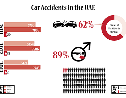 Information Design - Traffic Accidents in the UAE