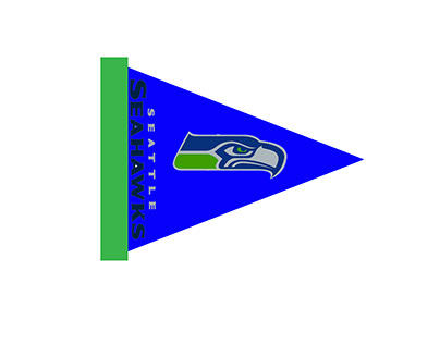 Seahawks flag