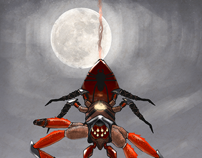 Crab Spider Fugo