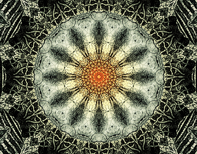 Kaleidoscopic #2