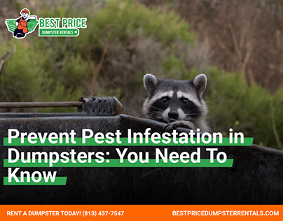 Easy Ways to Prevent Pest Infestation in Your Dumpsters