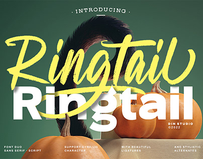 Ringtail - Font Duo