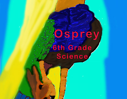 6th grade science