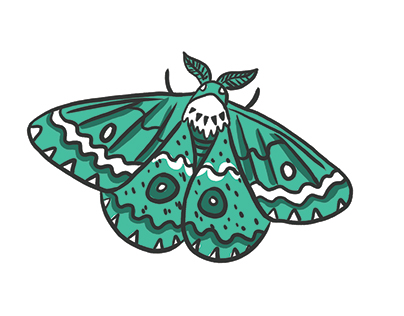 Moths! My Business cards
