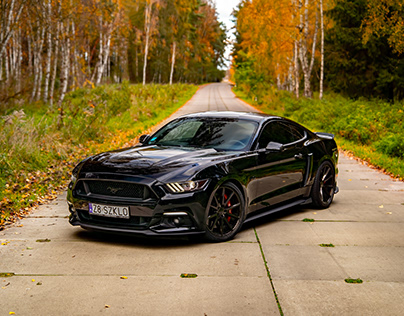 Mustang GT 5.0 - Autumn Vibe