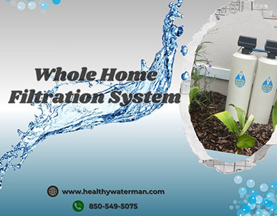 Whole Home Filtration System