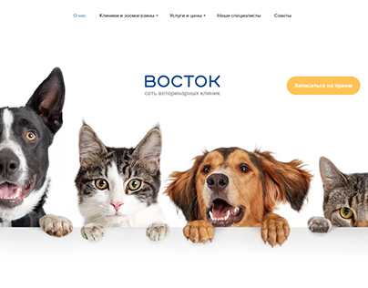 Website and Logo | Veterinary clinic - Vostok Vet