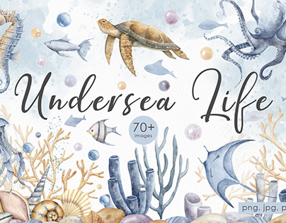 Undersea life watercolor clipart set | Ocean animals