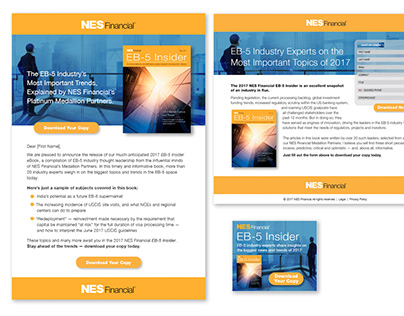 NES Financial Email, Landing Page & Banner
