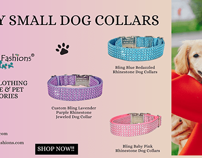 Fancy Small Dog Collars