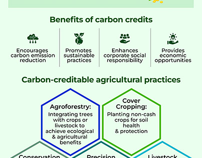 Carbon Credits : Carbon Credits: A Game Changer