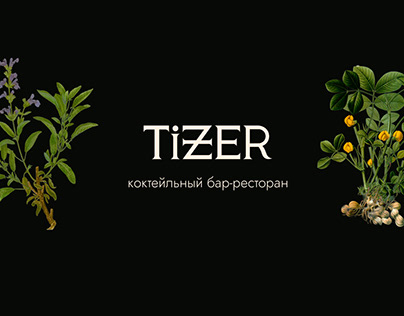 ресторан TIZER - фирменный стиль