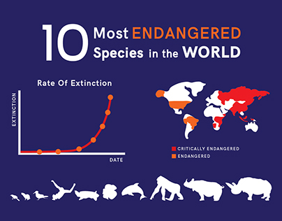 Endangered Species Infographics