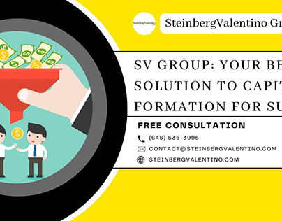 SteinbergValentino Group Capital Formation
