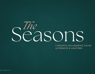 The Seasons Serif Font Family