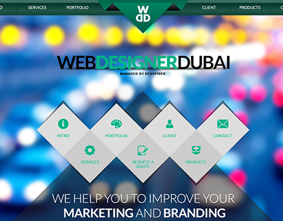 Web Designer Dubai