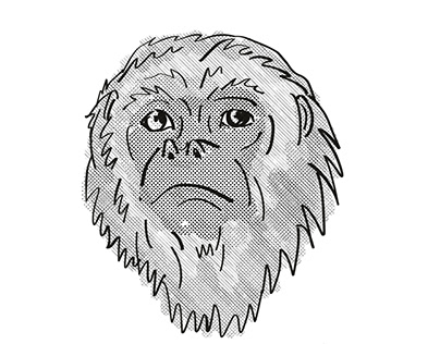 Yucatan Black Howler Monkey Cartoon Retro Drawing