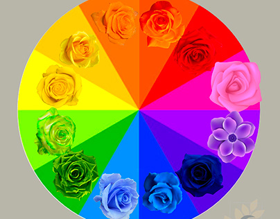 Ginger Parker“color wheel”2020,Digital 11"x11", 180 DPI