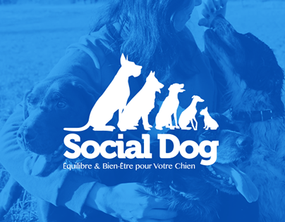 Social Dog - Promenades pour chiens