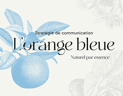 L'orange bleue - Stratégie de communication