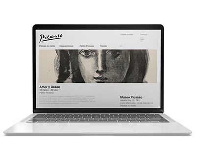 Web Museu Picasso