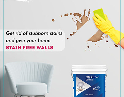 Interior wall paint | distemper |water proofing