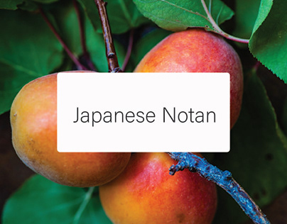 Japanese Notan