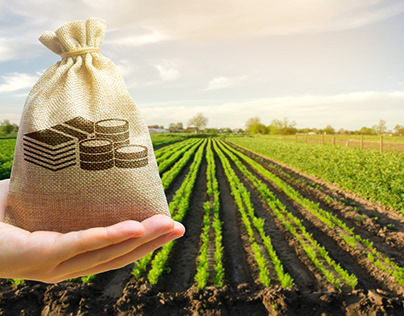 Harvesting Returns: The Case for Farmland Investment