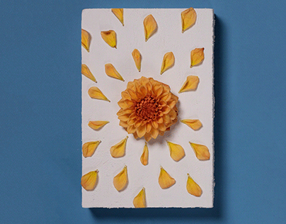 Floral Support Card | Stop motion animation