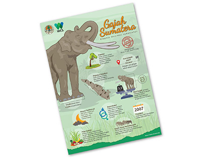 Gajah Sumatera Infographic