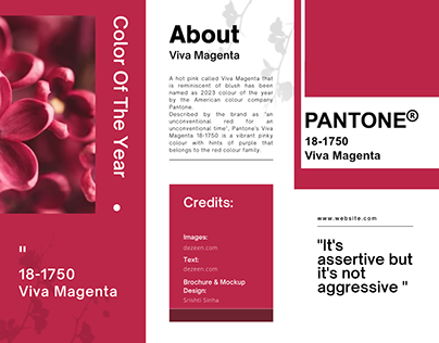 Brochure Design Viva Magenta
